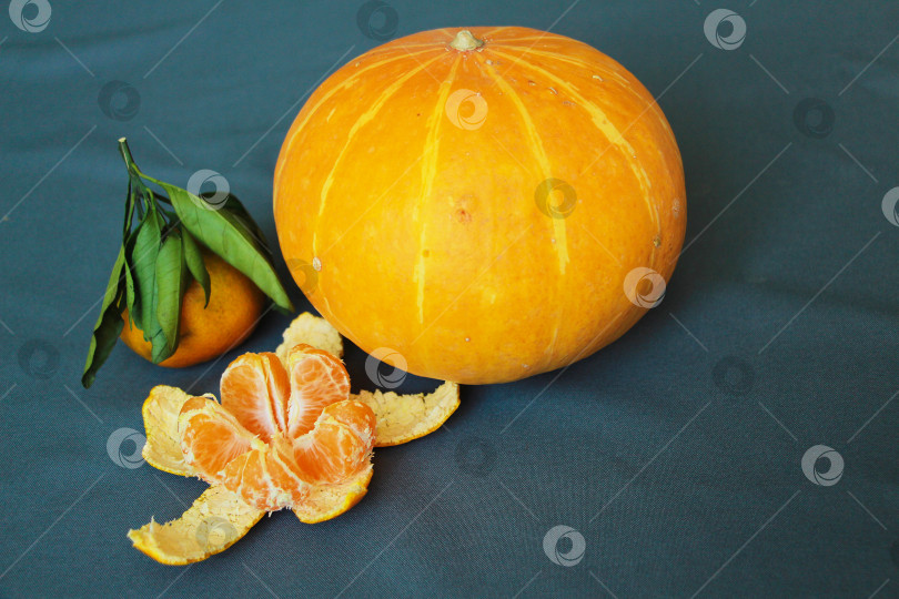 Скачать Тыква фотосток Ozero