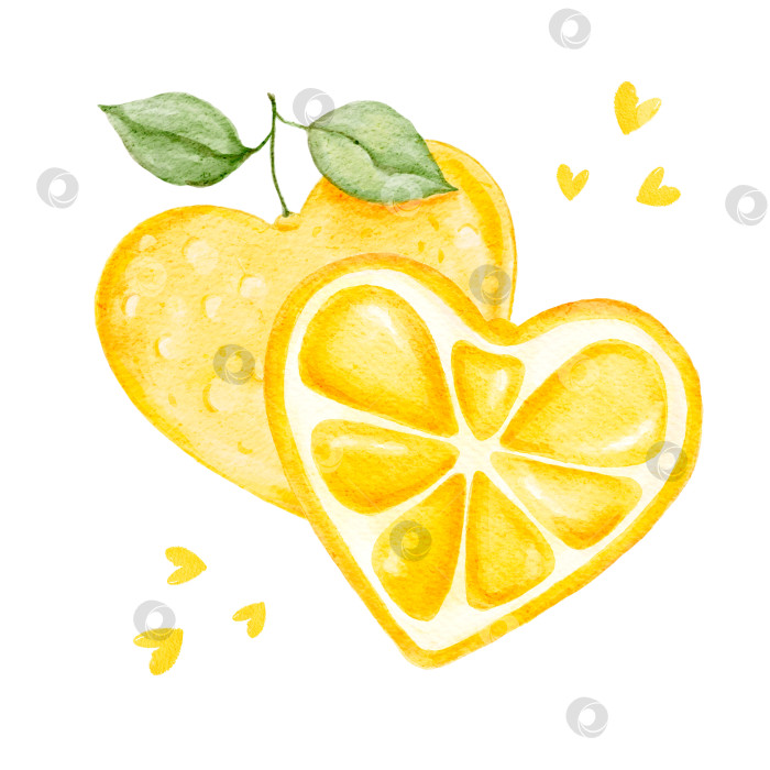 Скачать Милые иллюстрации в виде лимонов в форме сердца, забавные рисунки цитрусовых с ручной росписью для брендинга, упаковки, декоративного оформления, креативных проектов и веселых визуальных акцентов. фотосток Ozero