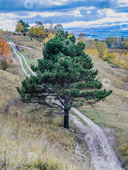 Скачать Золотая осень в горах, Кисловодск. фотосток Ozero