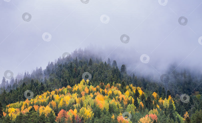 Скачать Золотая осень в горах Кавказа фотосток Ozero