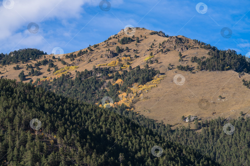 Скачать Золотая осень в горах Кавказа фотосток Ozero