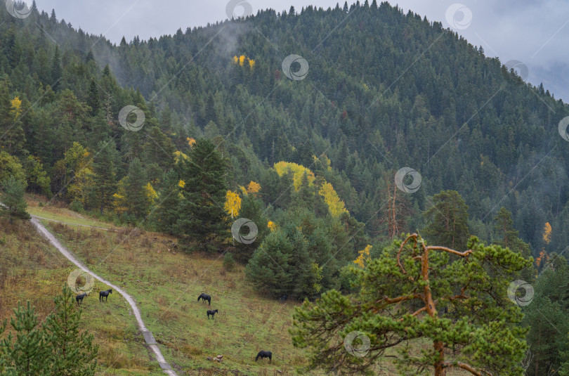 Скачать Золотая осень в горах Кавказа фотосток Ozero