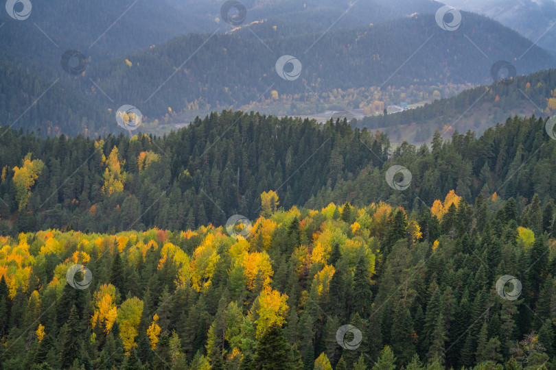 Скачать Золотая осень на Кавказе фотосток Ozero