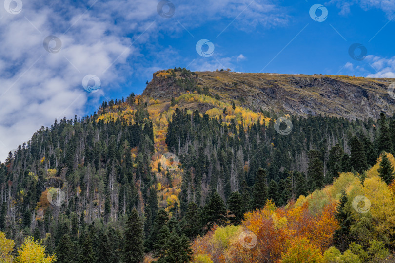 Скачать Золотая осень в горах Кавказа фотосток Ozero