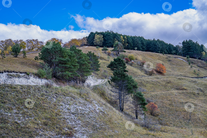 Скачать Осенняя природа фотосток Ozero