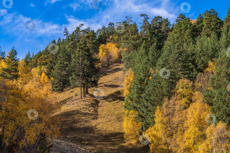 Скачать Золотая осень в горах Кавказа фотосток Ozero