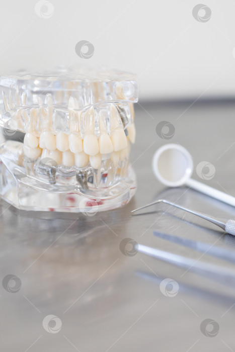 Скачать зубы и стоматологические инструменты на столе фотосток Ozero