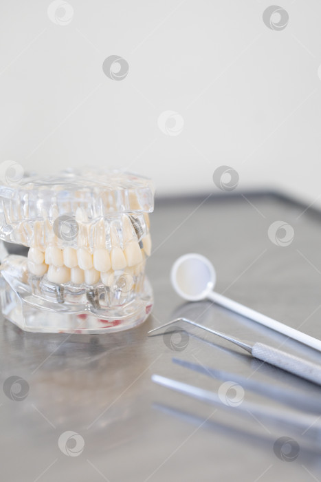 Скачать зубы и стоматологические инструменты на столе фотосток Ozero