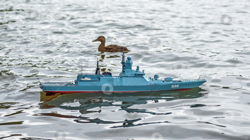 Скачать Россия,город Железногорск Красноярский Край, 26 августа 2023 год. Радиоуправляемая масштабная модель   военного корабля на соревнованиях на воде.  Рядом плавает утка. фотосток Ozero