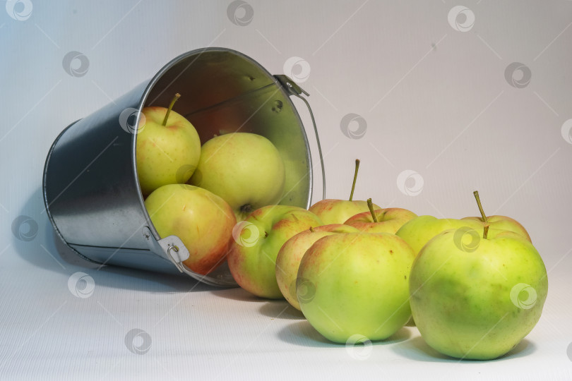 Скачать ведро яблок фотосток Ozero