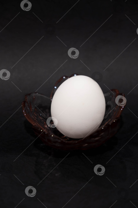 Скачать яйцо фотосток Ozero