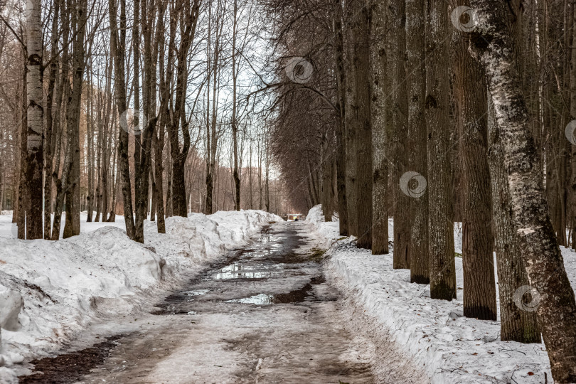 Скачать парк фотосток Ozero