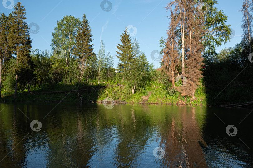 Скачать пруд фотосток Ozero