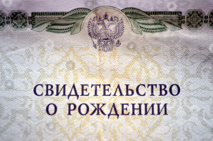 Скачать Свидетельство о рождении фотосток Ozero