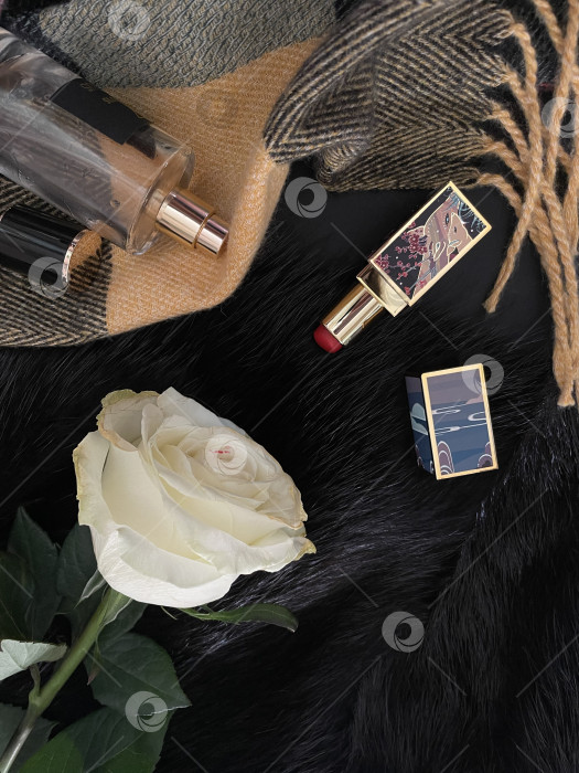 Скачать Роза, помада и духи фотосток Ozero