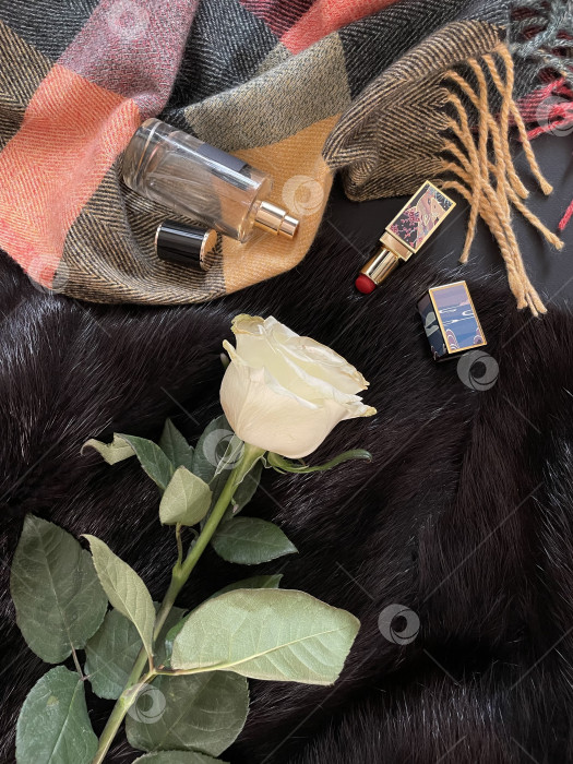 Скачать Женский набор фотосток Ozero