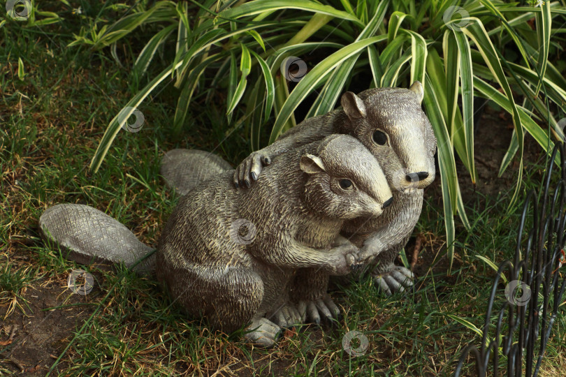 Скачать Бобры фотосток Ozero