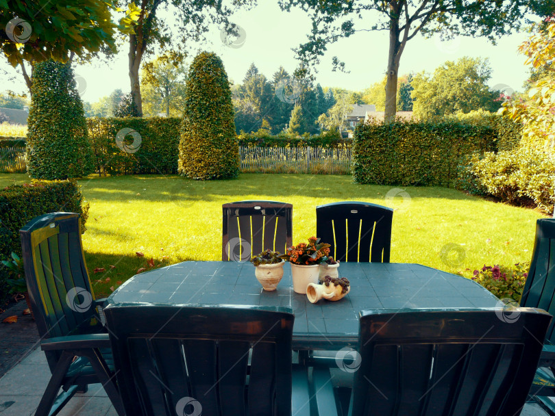 Скачать Кафе в Бельгии фотосток Ozero