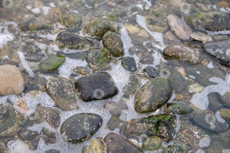 Скачать галька на берегу моря, фото крупным планом фотосток Ozero