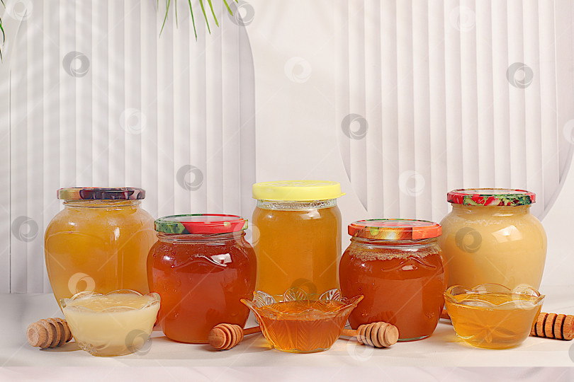 Скачать Разнообразные сорта меда в баночках и стаканчиках на кухонном столе.Ассортимент лугового, липового, цветочного, пчелиного меда и нектара для рекламы на ярмарке меда или распродаже, натуральный полезный продукт для здоровья фотосток Ozero