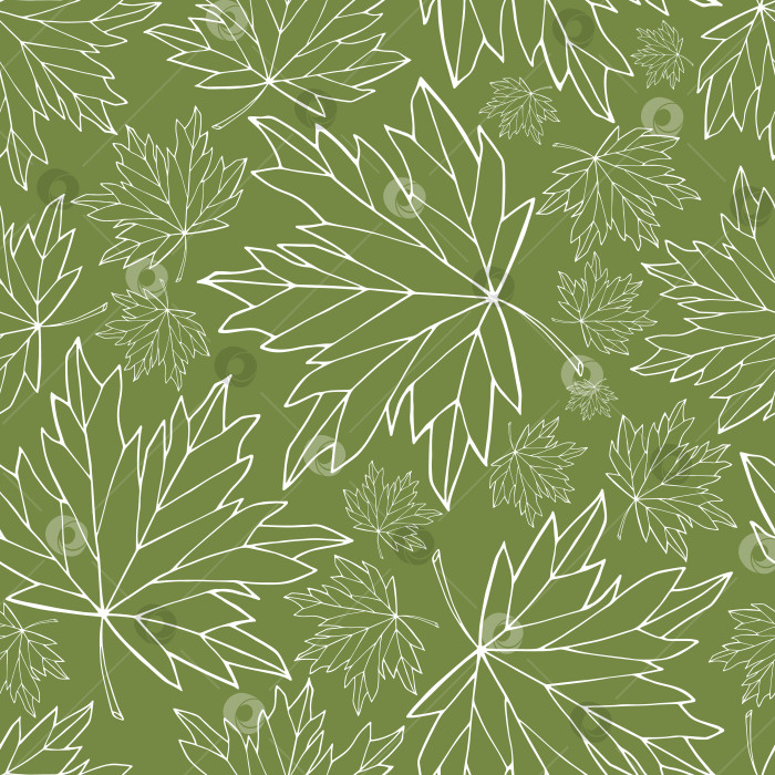 Скачать Бесшовный узор из кленовых листьев. Безграничный фон в виде листвы Acer. Бесконечная цветочная текстура. Зеленые и белые листья, повторяющие рисунок поверхности в пастельных тонах. фотосток Ozero