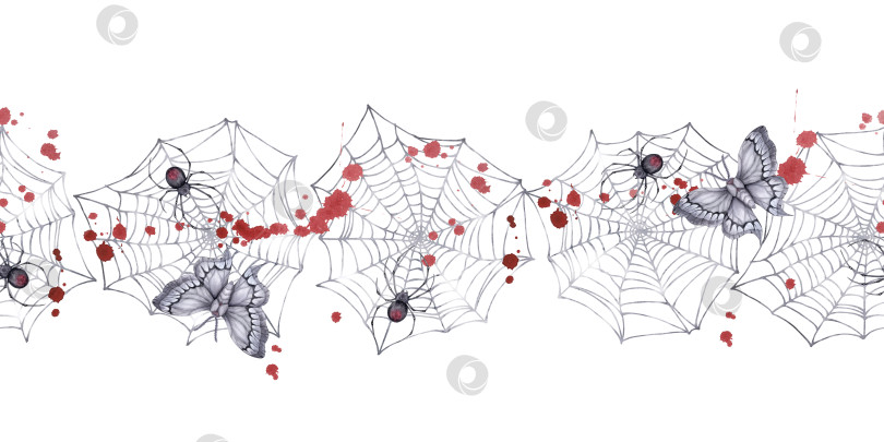 Скачать Бесшовный горизонтальный узор паутины с пауками, мотыльками и каплями крови. фотосток Ozero