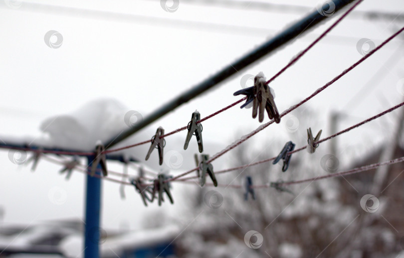 Скачать Прищепки для бель на веревке. фотосток Ozero