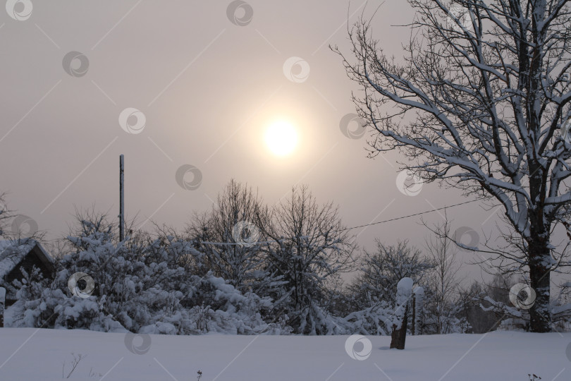Скачать Зимний вечер. фотосток Ozero