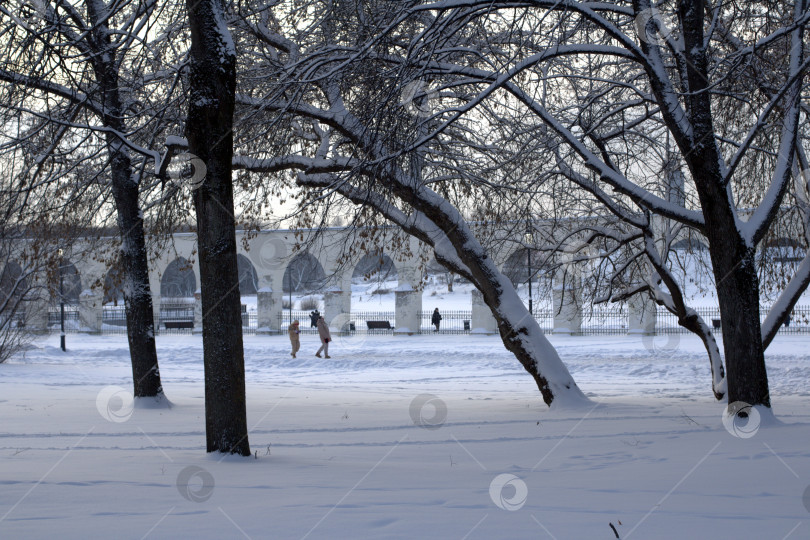 Скачать Деревья в снегу на фоне аркады Гостиного двора в Великом Новгороде. фотосток Ozero