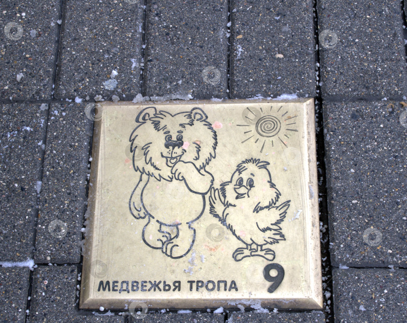 Скачать Медвежья тропа. фотосток Ozero