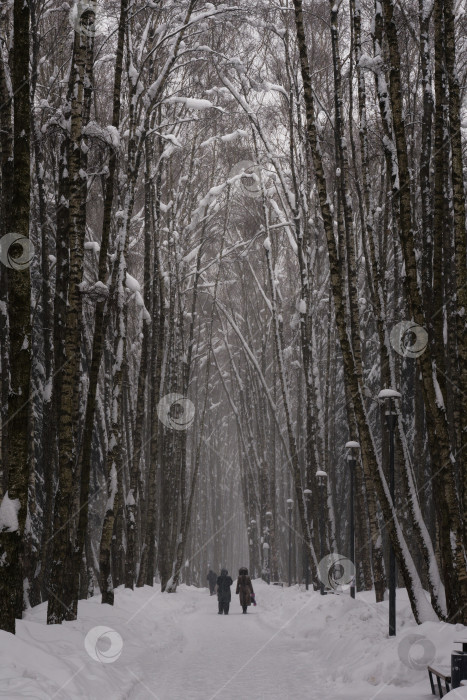 Скачать Московский парк Зимой фотосток Ozero