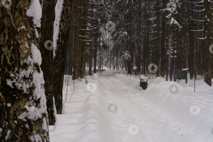 Скачать Московский парк Зимой фотосток Ozero