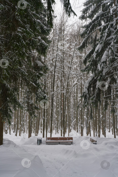 Скачать Скамейка в заснеженном Московском парке фотосток Ozero