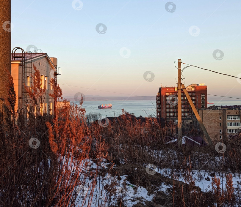 Скачать Вид на Амурский залив во Владивостоке зимним утром, декабрь 2025 года фотосток Ozero
