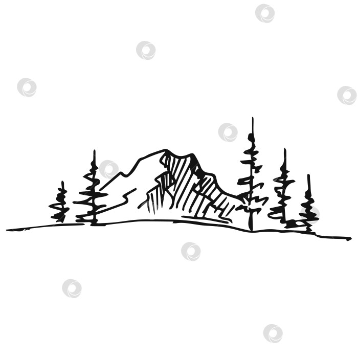 Скачать Рисованная векторная иллюстрация горного пейзажа с соснами. фотосток Ozero