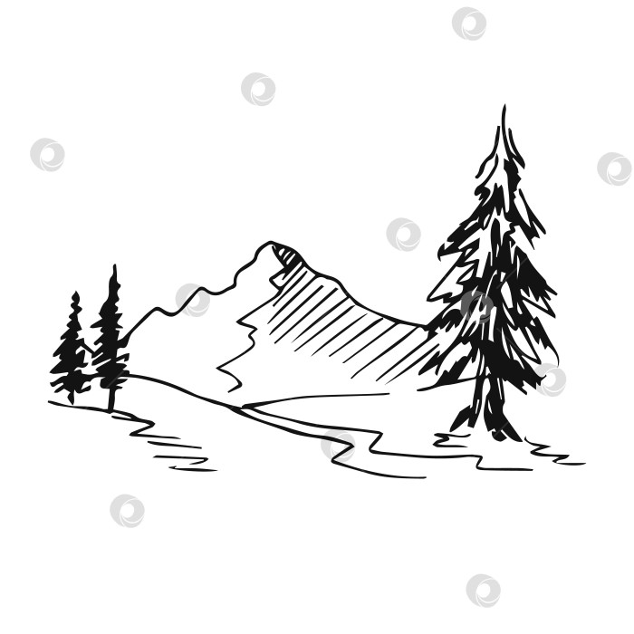 Скачать Рисованная векторная иллюстрация горного пейзажа с соснами. фотосток Ozero
