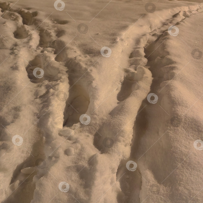 Скачать Глубокие следы на снегу на закате фотосток Ozero