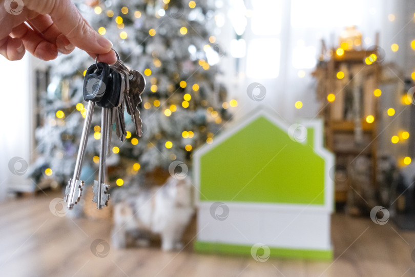 Скачать Ключи в руках на фоне рождественской елки с гирляндами и крошечным домиком, подарок и кошка на Новый год, Рождество. Строительство, дизайн, проектирование, переезд, страхование, ипотека, аренда и покупка недвижимости. фотосток Ozero