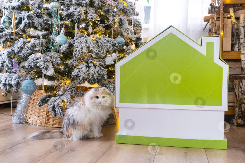 Скачать Декор рождественской елки: крошечный домик небольшого размера и кошка в интерьере дома. Подарок на Новый год, домик для домашних животных. Страхование, переезд в новый дом, ипотека, аренда и покупка недвижимости фотосток Ozero