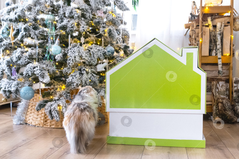 Скачать Декор рождественской елки: крошечный домик небольшого размера и кошка в интерьере дома. Подарок на Новый год, домик для домашних животных. Страхование, переезд в новый дом, ипотека, аренда и покупка недвижимости фотосток Ozero