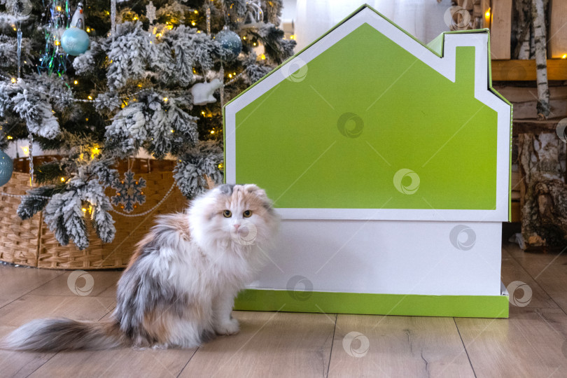 Скачать Декор рождественской елки: крошечный домик небольшого размера и кошка в интерьере дома. Подарок на Новый год, домик для домашних животных. Страхование, переезд в новый дом, ипотека, аренда и покупка недвижимости фотосток Ozero