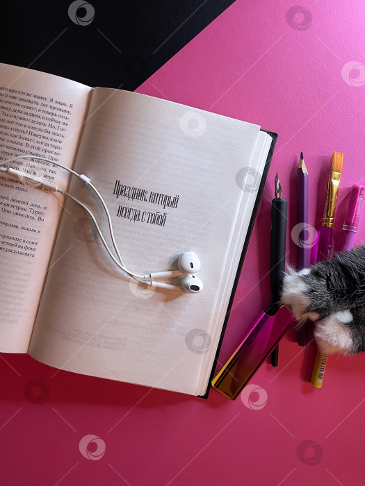 Скачать Книга, наушники, перо, ручка, кисть, карандаш и лапки кота фотосток Ozero