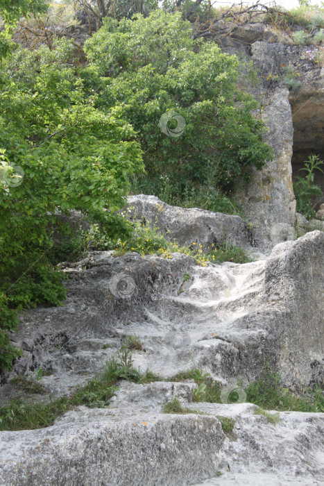 Скачать Горно-холмистая местность Республики Крым. Горы, пещеры, лесные массивы фотосток Ozero