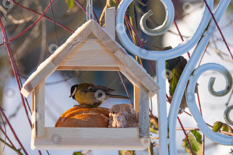 Скачать снегири и синицы сидят на ветвях дерева и в кормушке в виде деревянного домика, зимний день фотосток Ozero
