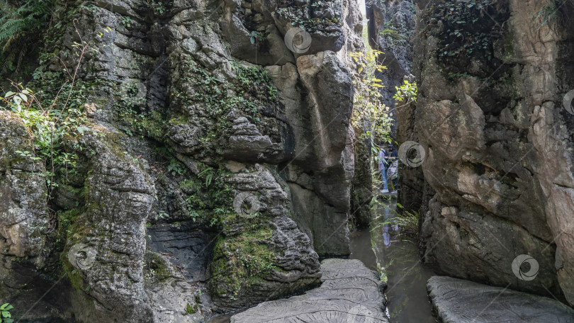 Скачать Крутые, поросшие мхом скалы. Зеленая растительность на крутых склонах. фотосток Ozero