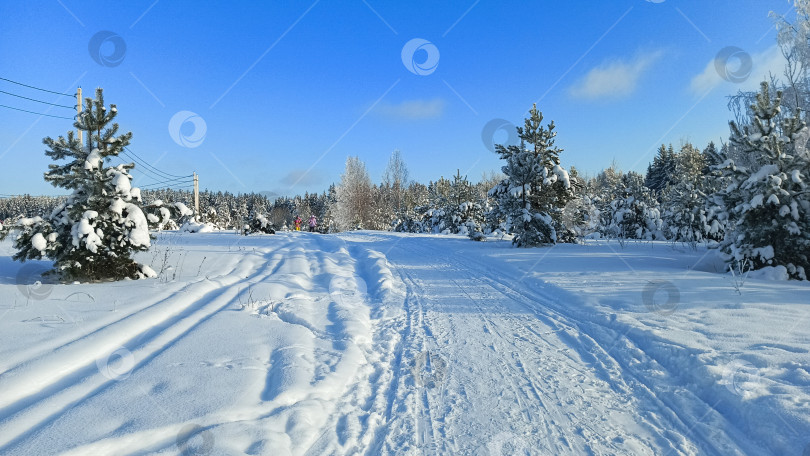 Скачать Зима в лесу фотосток Ozero