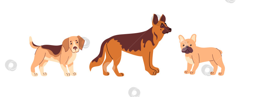 Скачать Набор векторных изображений бигля, овчарки и французского бульдога в плоском стиле с простыми формами и яркими цветами, идеально подходящий для иконок, наклеек, брендирования домашних животных и детских иллюстраций фотосток Ozero