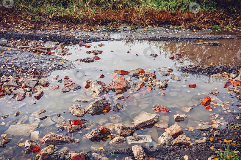 Скачать грунтовая дорога через лес после сильного дождя фотосток Ozero