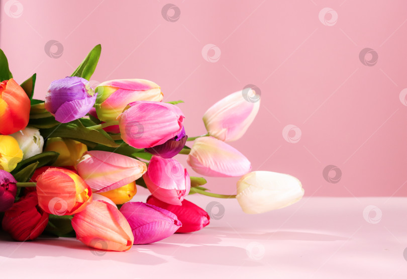 Скачать Нежный букет тюльпанов на розовом фоне, copy space. Яркий букет искусственных тюльпанов разных цветов на нежно-розовом фоне. Идеально подходит для весенних рекламных акций, рекламы флористики, романтического дизайна, празднования дня матери фотосток Ozero