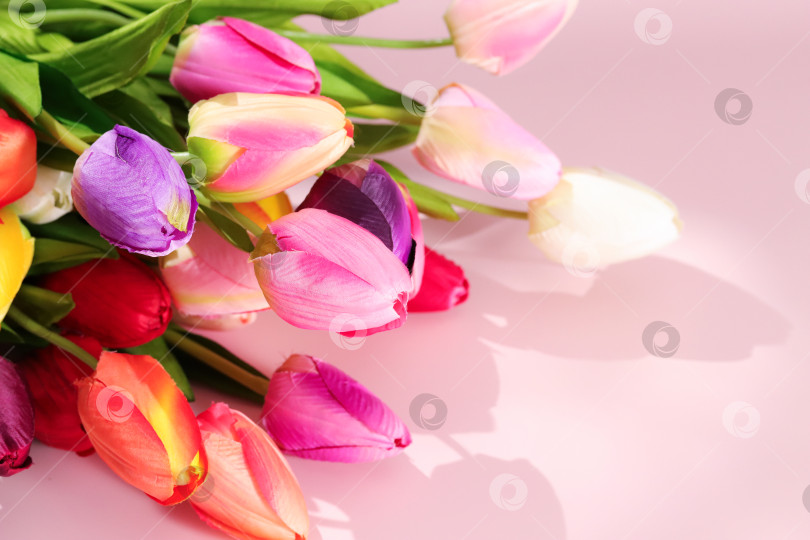 Скачать Искусственные тюльпаны разных цветов собраны на светло-розовой поверхности. Красочный букет из искусственных тюльпанов на розовой основе со свободным пространством для весенних акций, рекламы флористики, романтического дизайна, женского дня фотосток Ozero